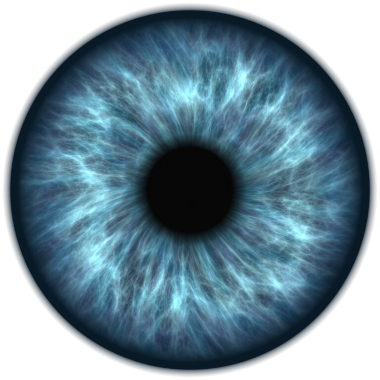 Read more about the article Everything is conscious