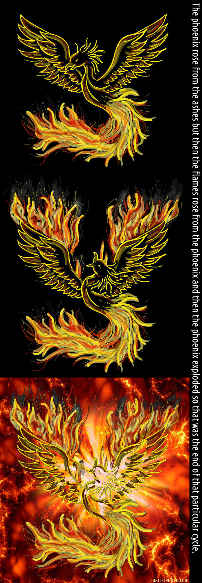 Read more about the article The phoenix