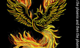 The phoenix